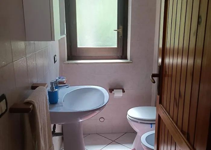 Friends * 卡迈格拉特罗希拉诺